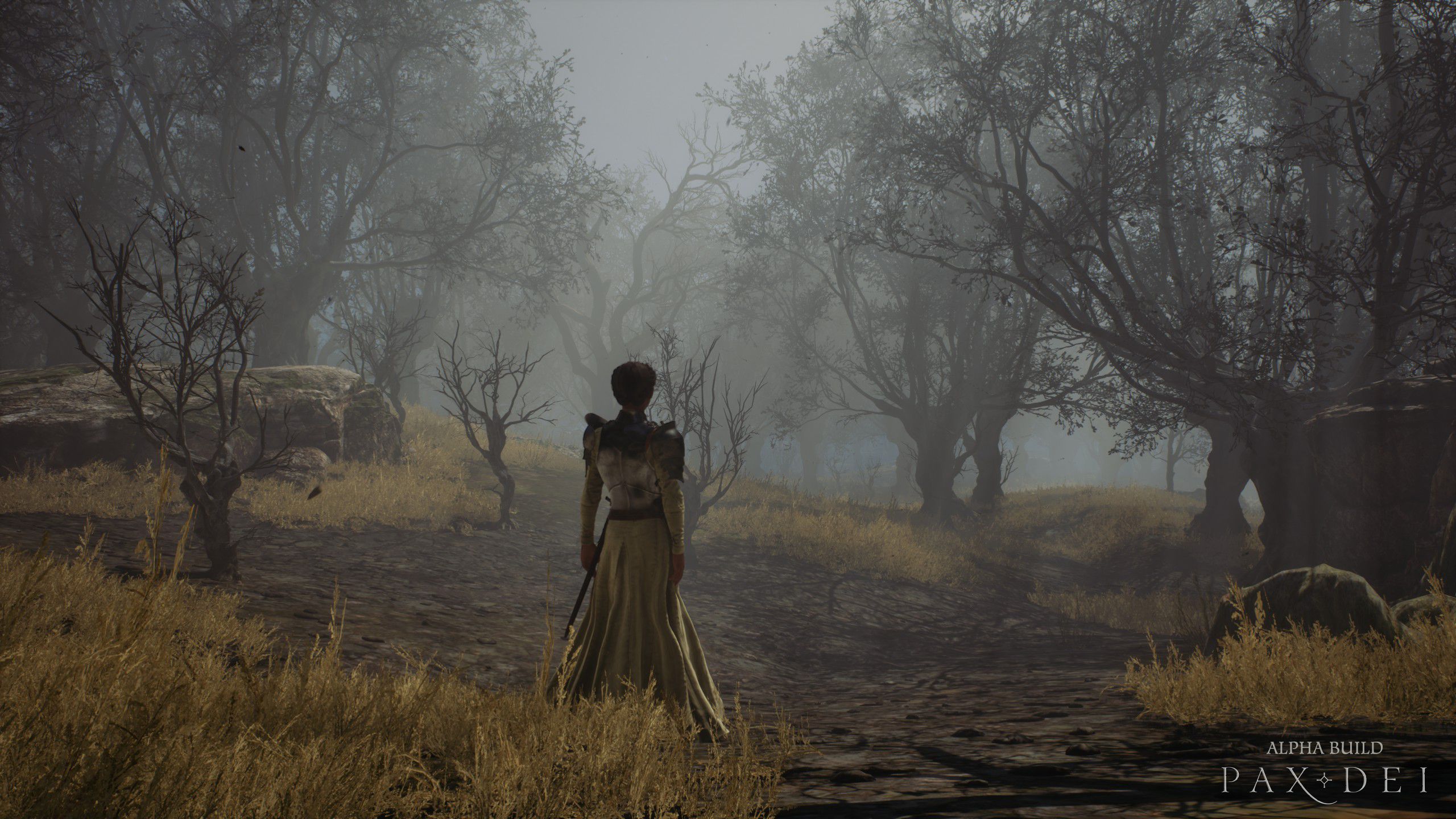 Alpha build - World 16