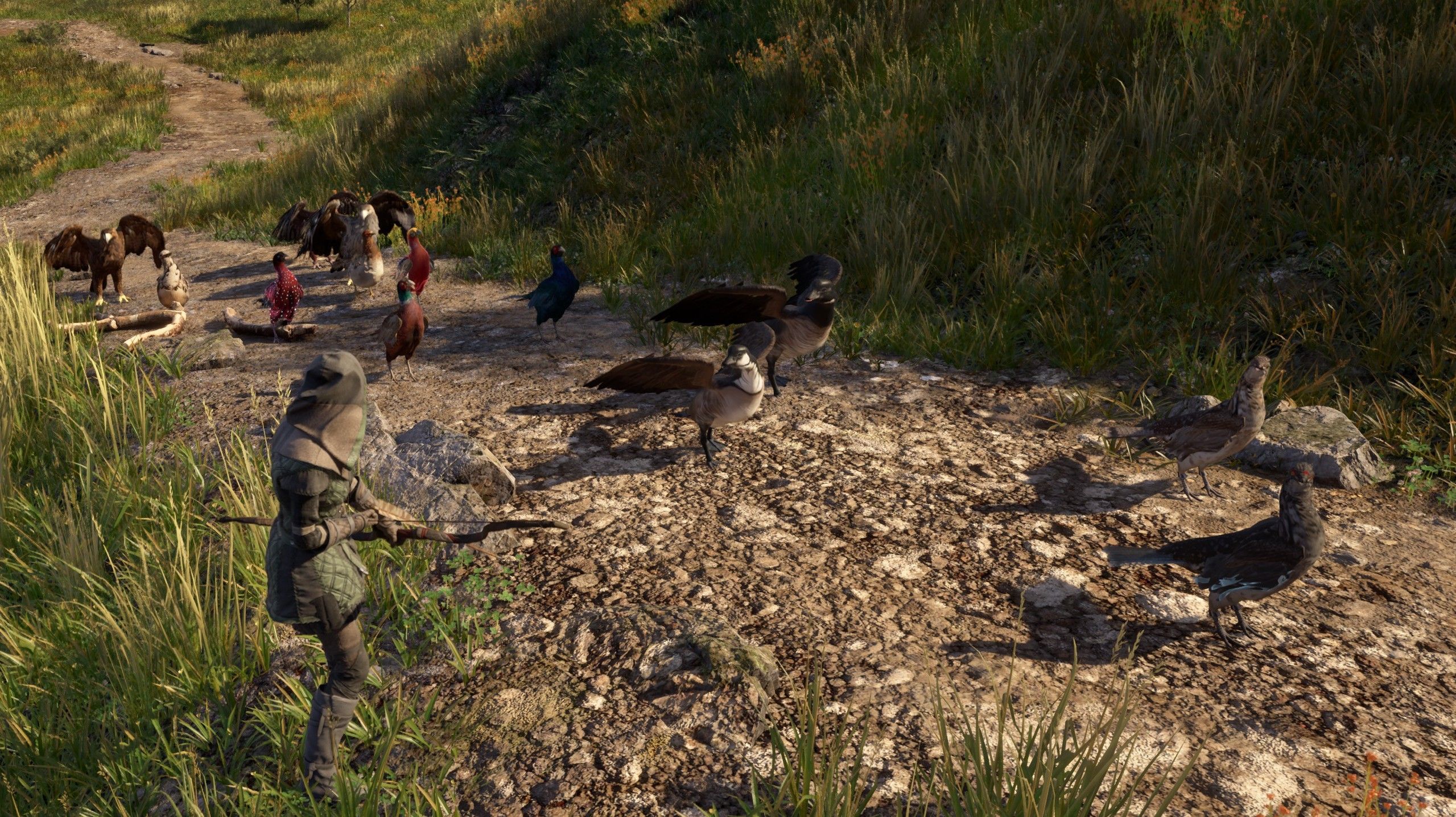 Birds All.jpg