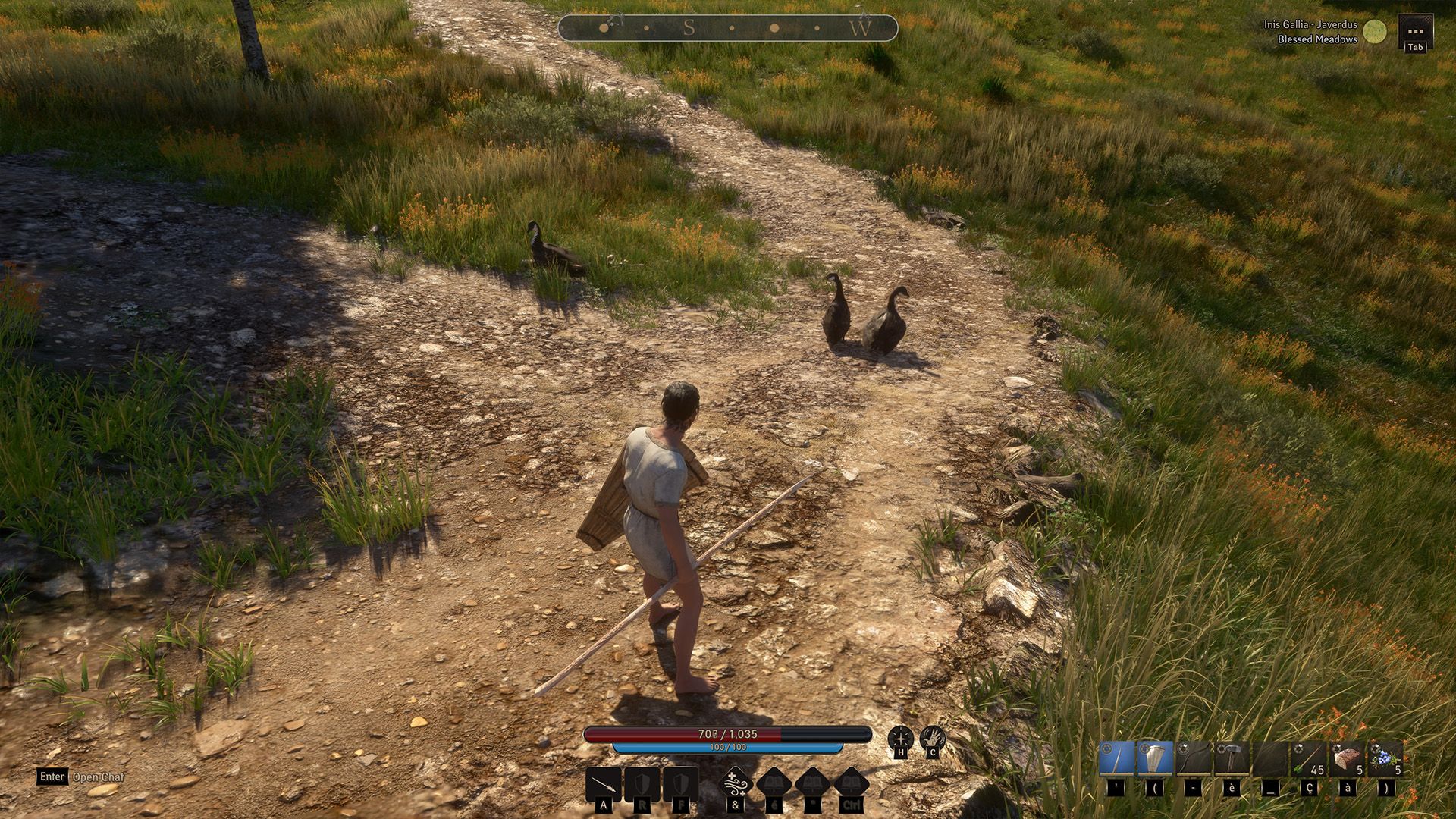 Birds - final image2_web.jpg