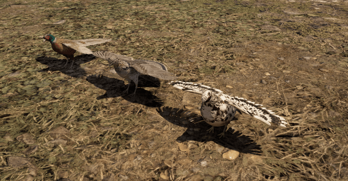 Birds - final image.png