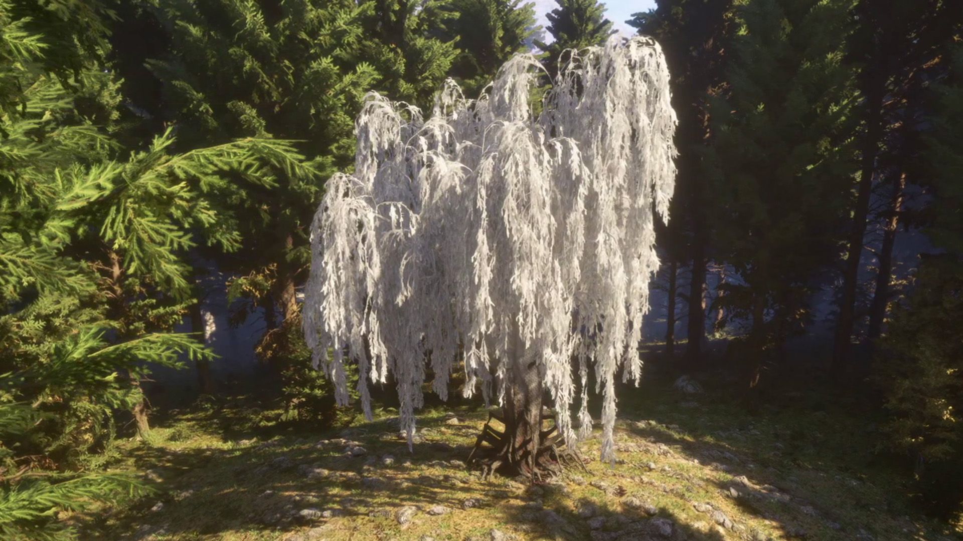 Patch Notes - Verse 5 Patch 1.1 - Dec.19