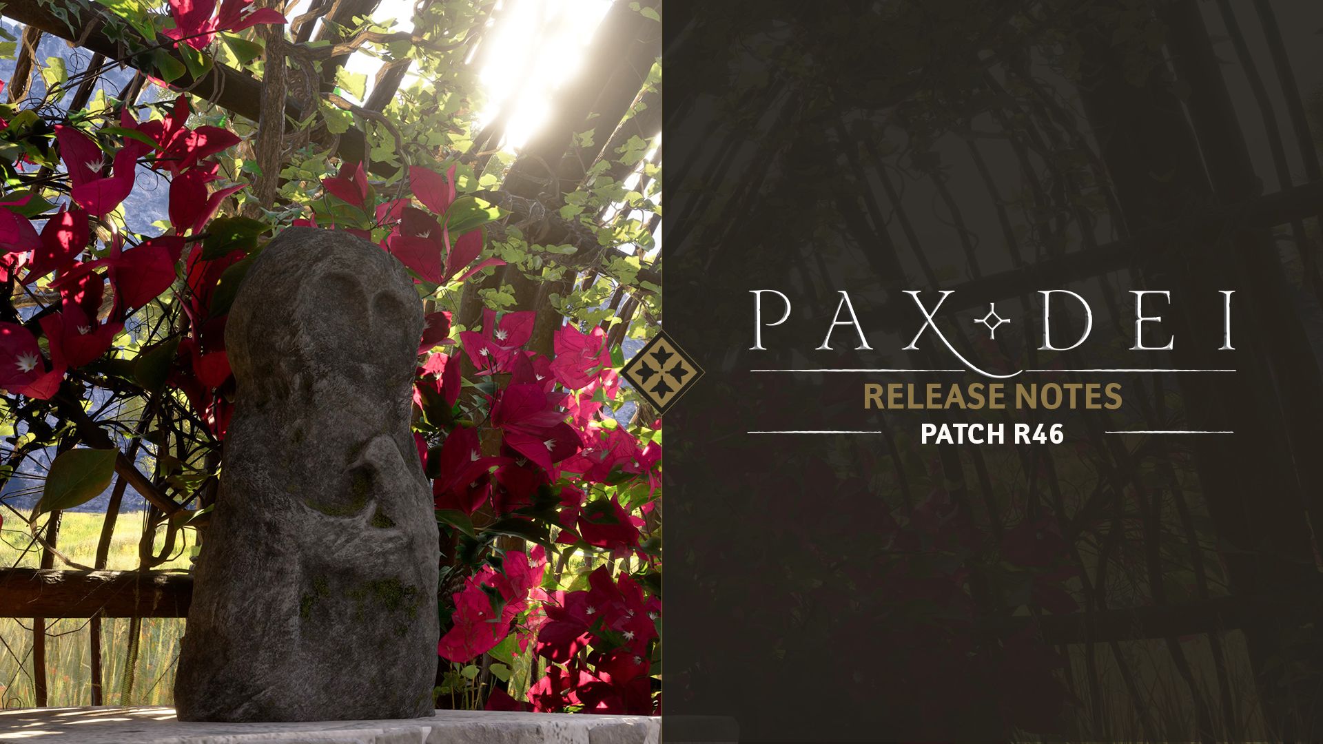 R46 - Release Notes