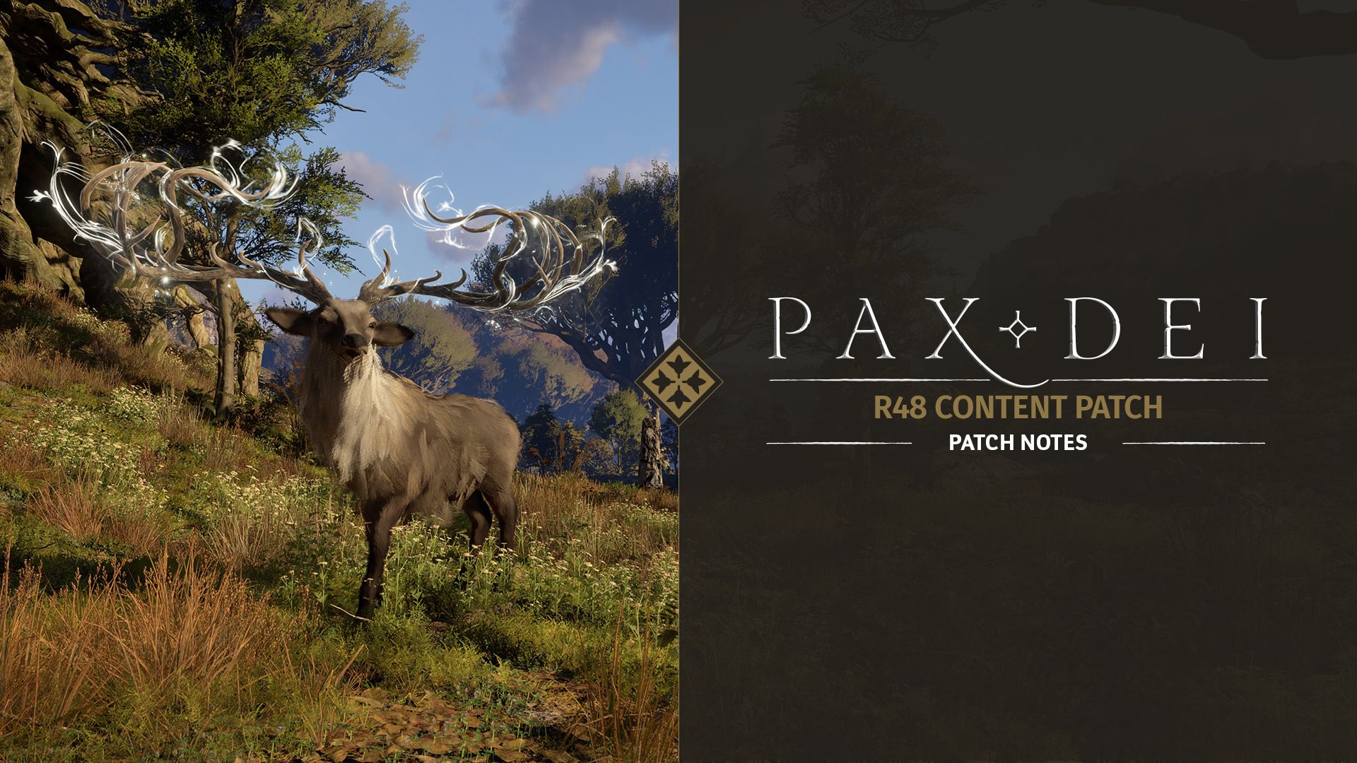 R48 Patch Notes